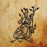 Ephemeral Sun - Harvest Aorta